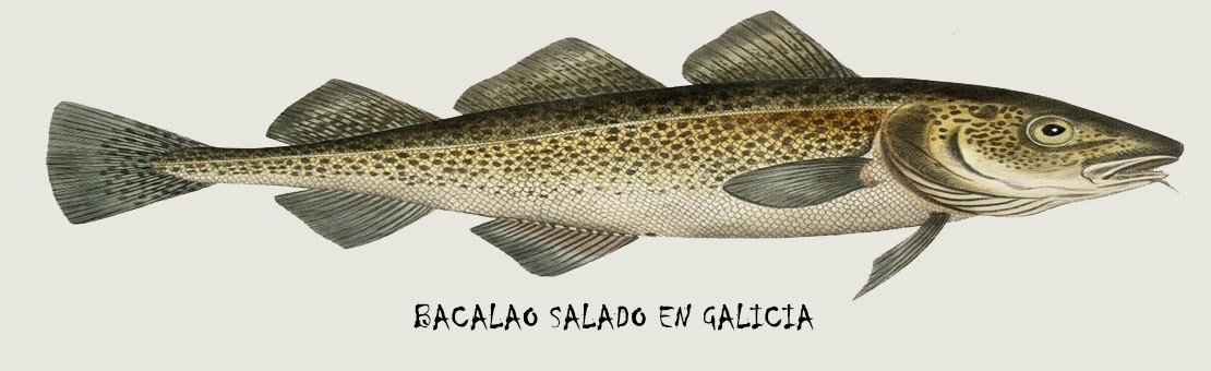 Bacalao desde Galicia